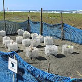 Costa Rica20150401-2220-0734